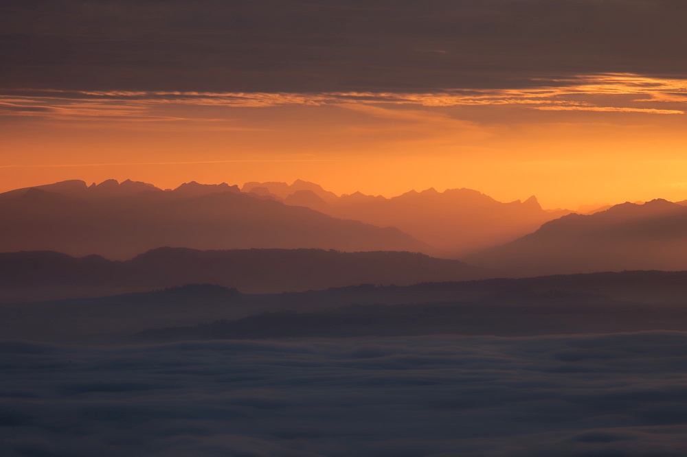 041A9826_DxO-border.jpg.536c9173d69fe02051bf969758203fd7.jpg