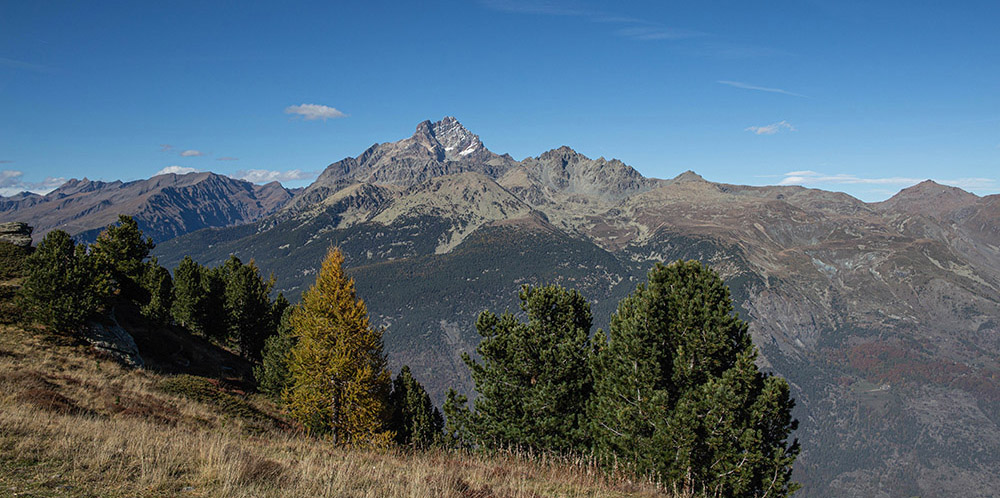 1829966684_Viso06.jpg.d13c23f43d777dc05cfc5ec8429b845d.jpg
