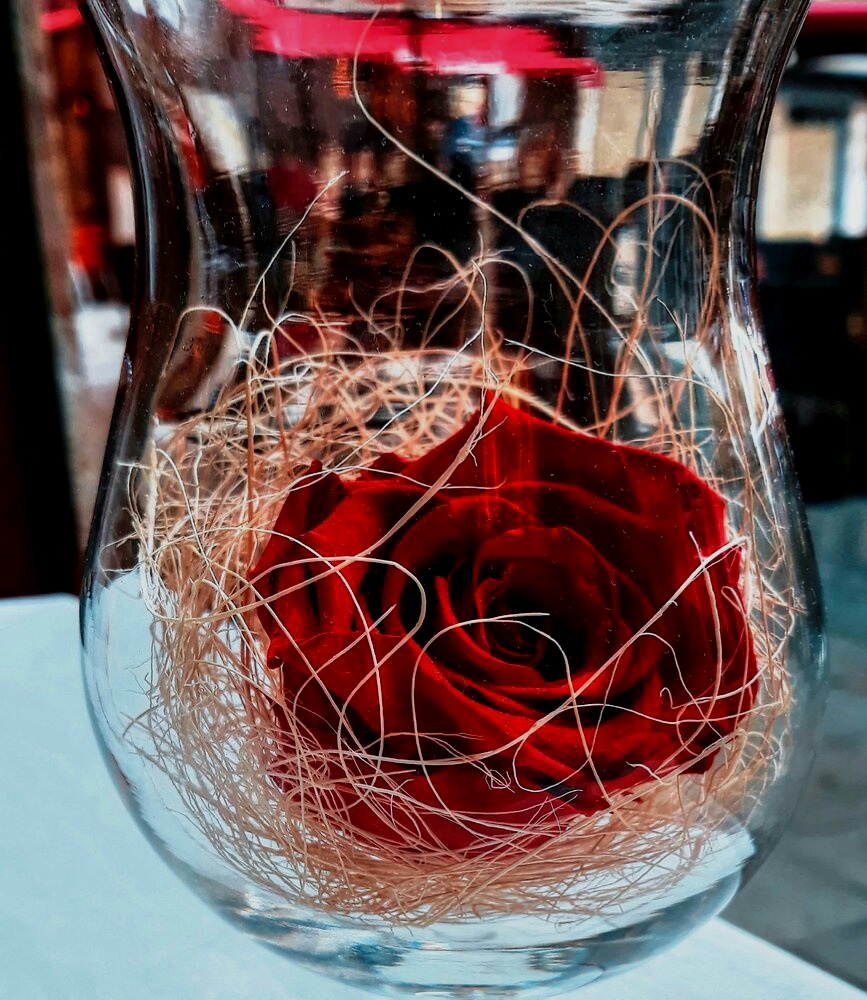 1933343012_20180207_1316041_DxO-01-01-01.jpeg.be8c41252bef41bbae4d166e2eba0ff7.jpeg