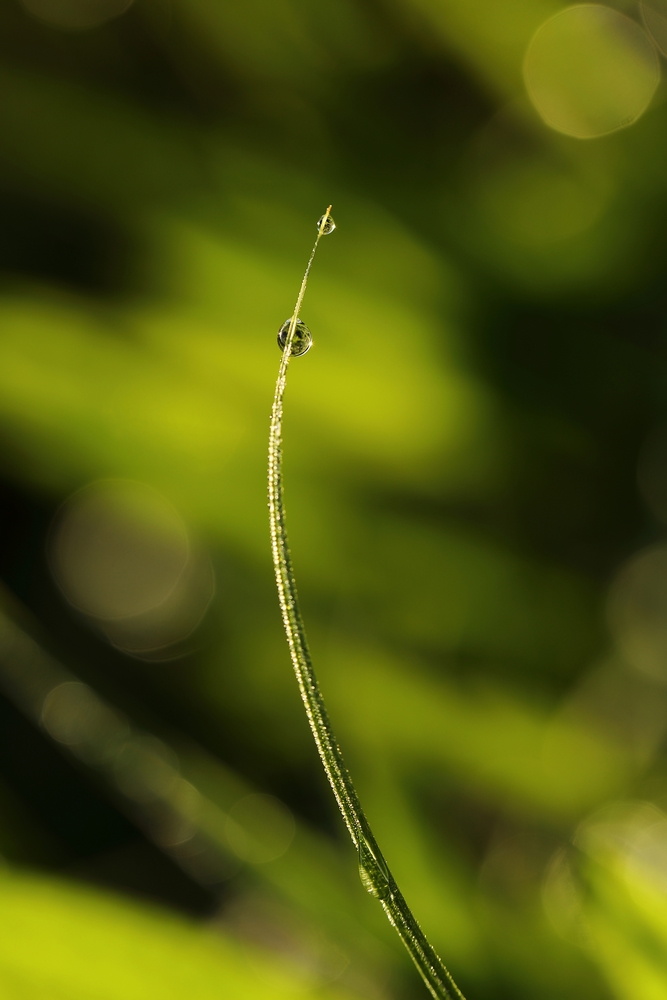 2G6A4247.JPG