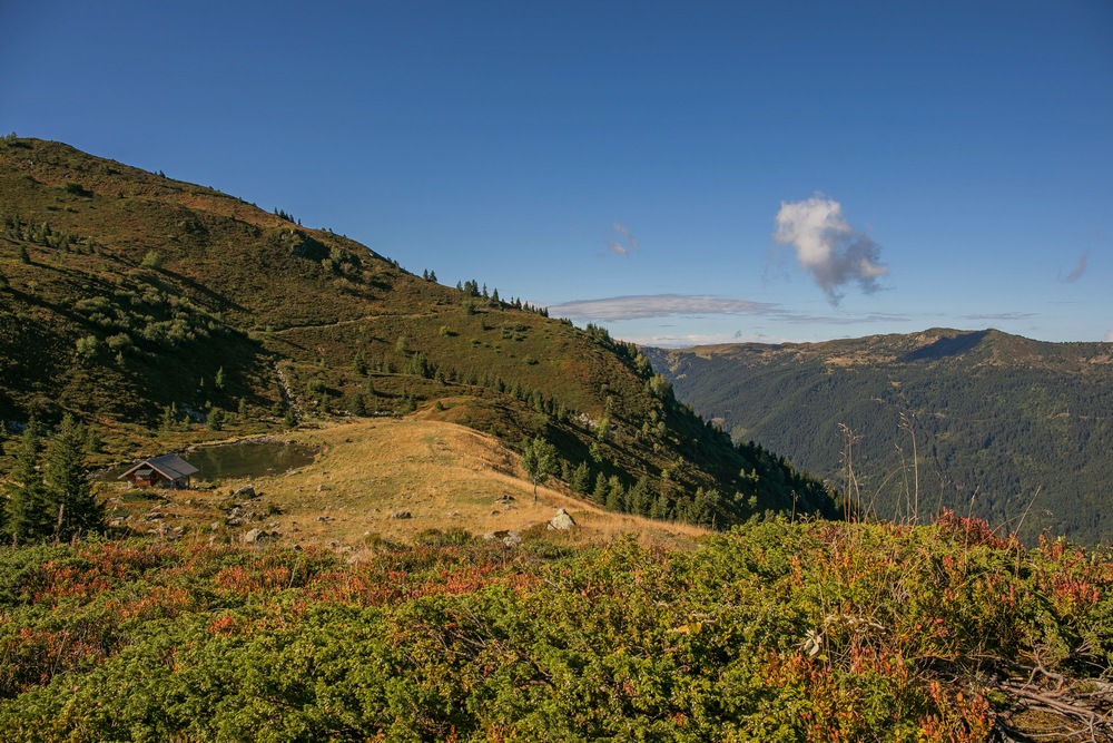 2G6A4305.JPG