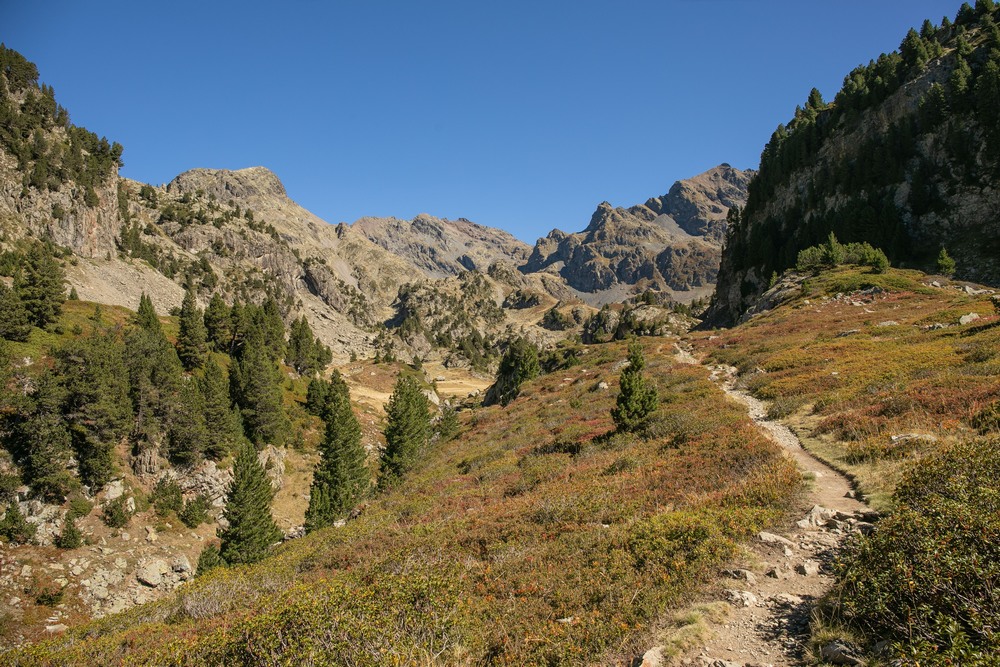 2G6A4429.JPG