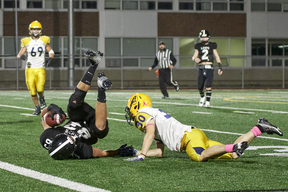 DSC_2333_1000.jpg.65183d8b293c0355f08b539b97e1d5a6.jpg