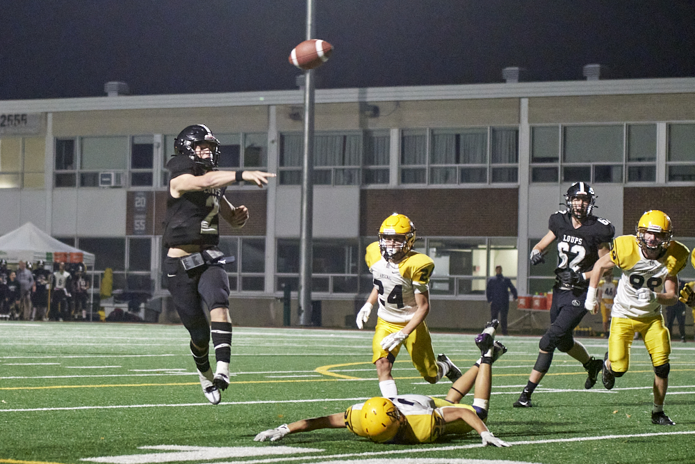 DSC_3801_1000.jpg.f2be42d54dd262503681f9ccd2b4605d.jpg