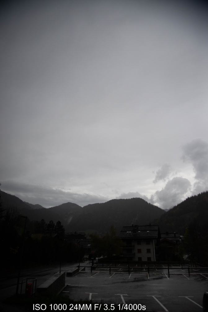 DSC_6906.jpg
