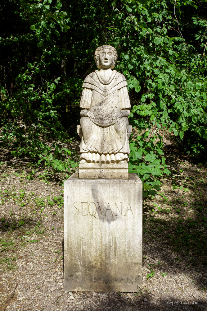 _MG_7677.jpg.be29dfa3e77f5635278e21d8e63d9c5d.jpg
