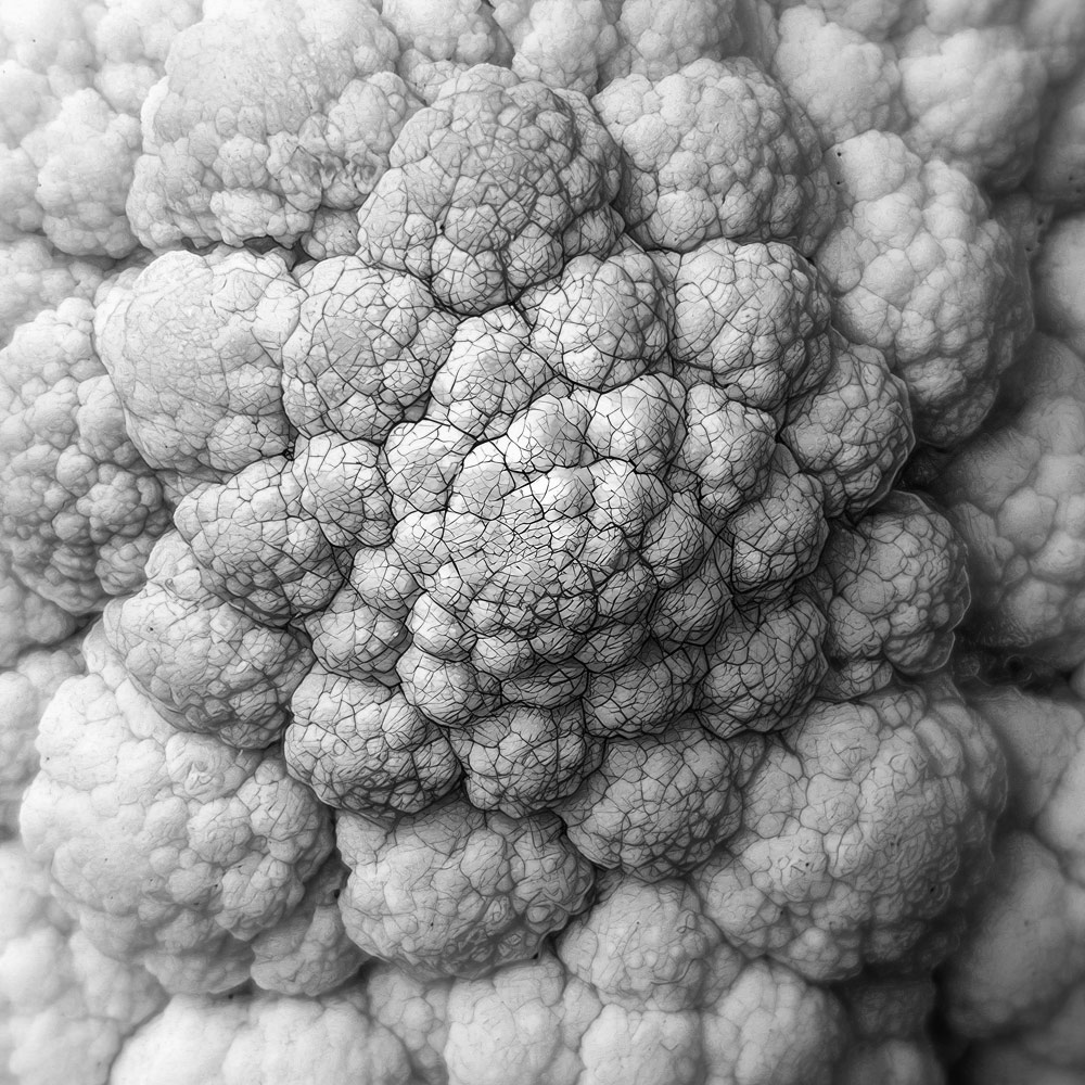 frp378.jpg.b82c87c7645133b371f228258dc8a696.jpg