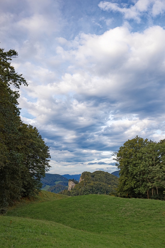 041A9646_DxO-border.jpg.5b912cb1cb05039bd38aca765e1dbd6c.jpg
