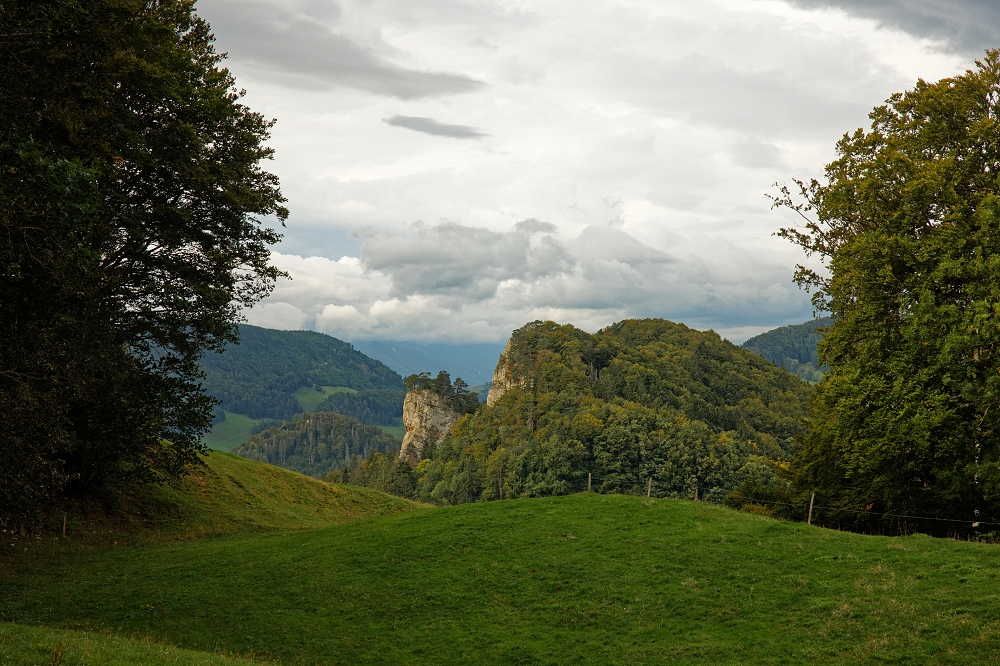 041A9739_DxO-border.jpg.5796e36a985830d218e8b0f506e62685.jpg