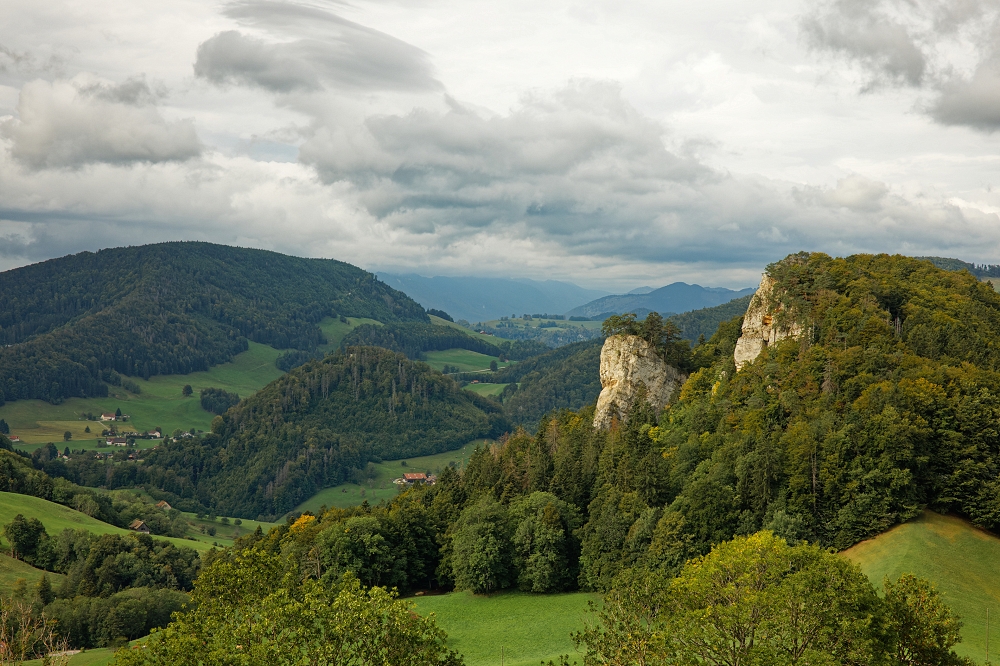 041A9740_DxO-border.jpg.f8b1c436073568ef201b4c09a26db52b.jpg