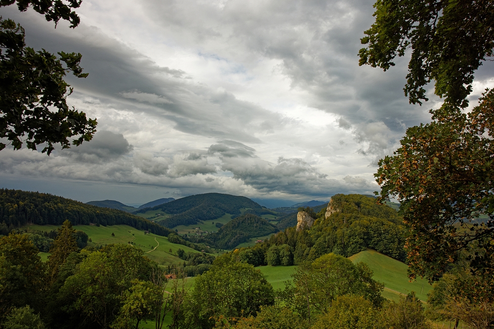 041A9743_DxO-border.jpg.a672599fa28aa2ad2872c7021dfadfe4.jpg