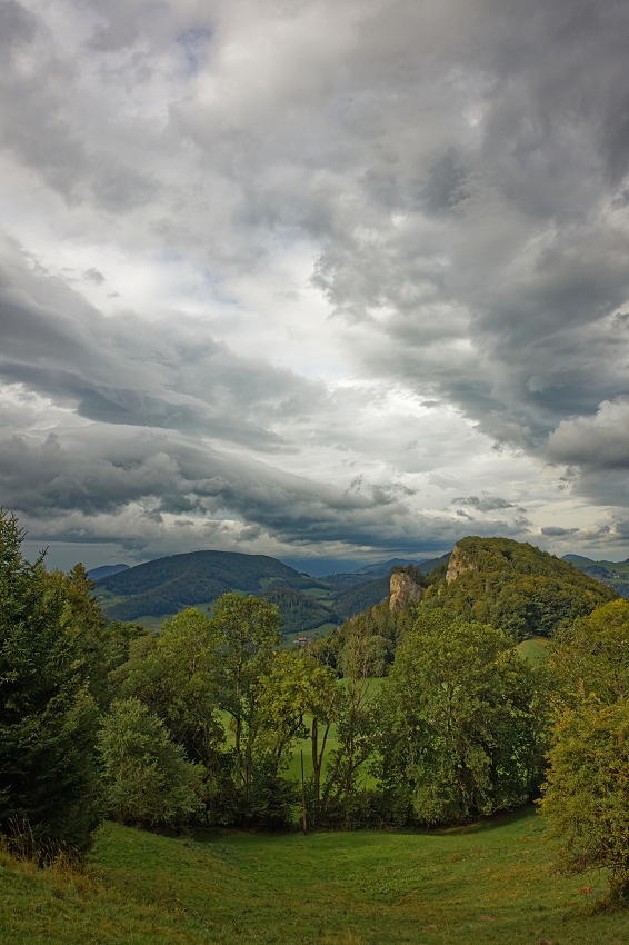 041A9745_DxO-border.jpg.ee9ec44140f3876cef5a76e650381f20.jpg