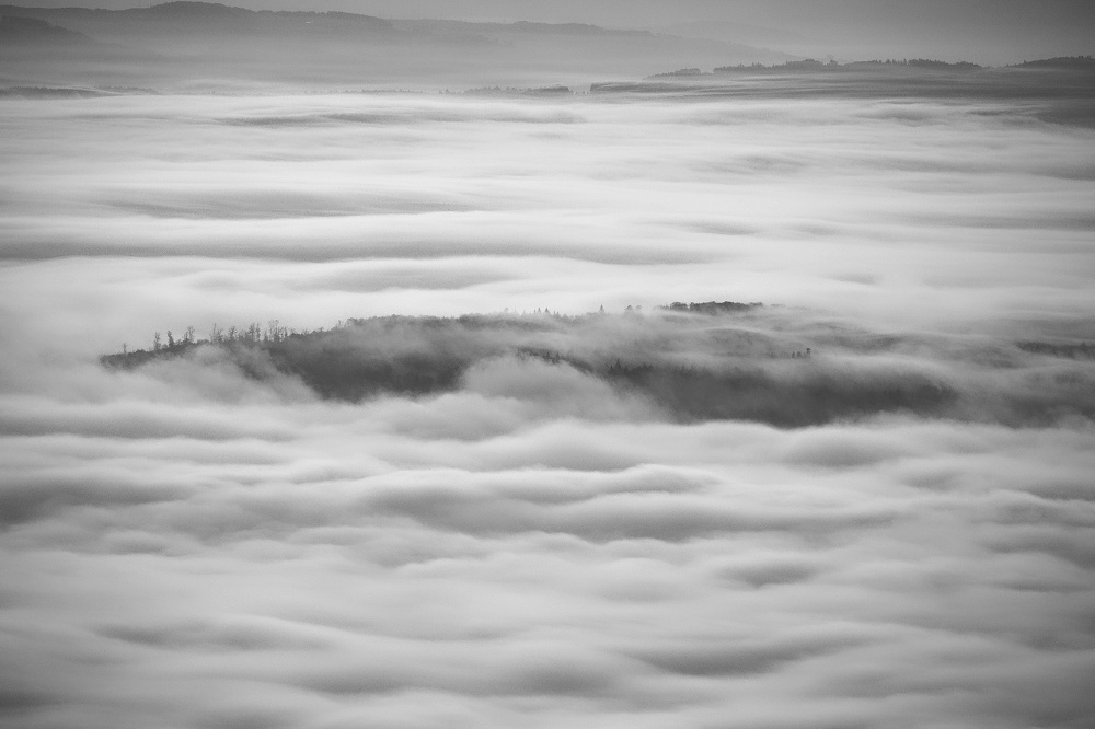041A9787_DxO_1-border.jpg.592c399088d7e9f082325c93911b4b1d.jpg