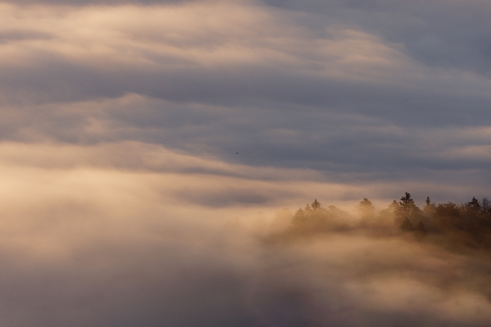 041A9845_DxO-border.jpg.91943b95c50b5499ee47fa53ca77b857.jpg