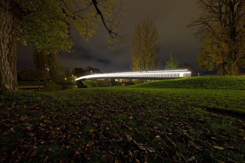 041A9931_DxO-border.jpg.a5f90516c3e61b97a6997f7d1c488dd6.jpg