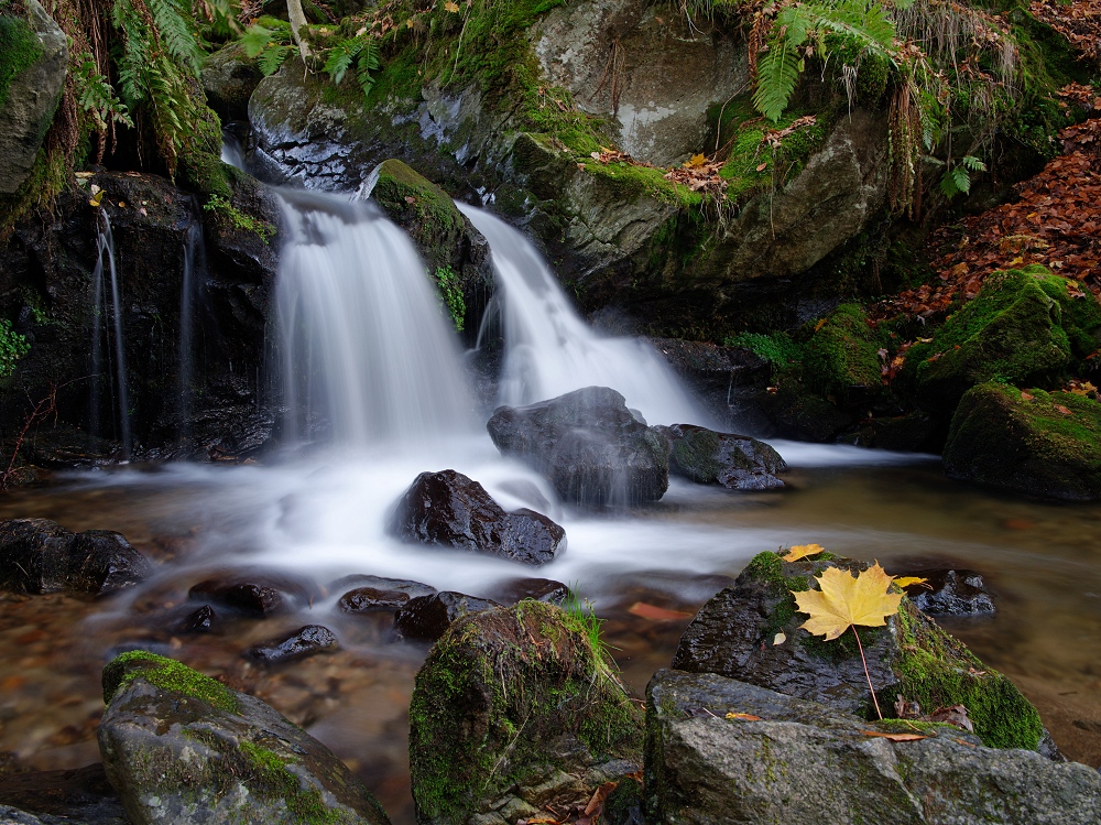 Valentin-Charles 4.jpg