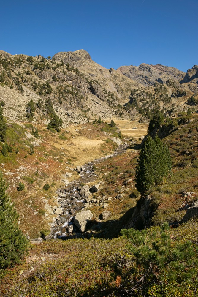2G6A4431.JPG