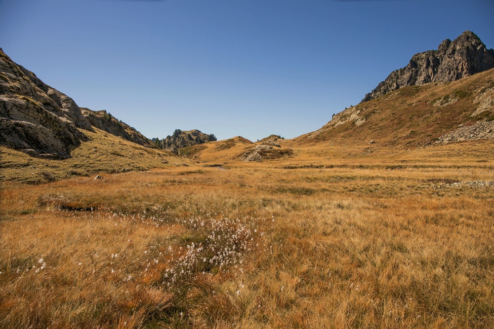 2G6A4447.jpg