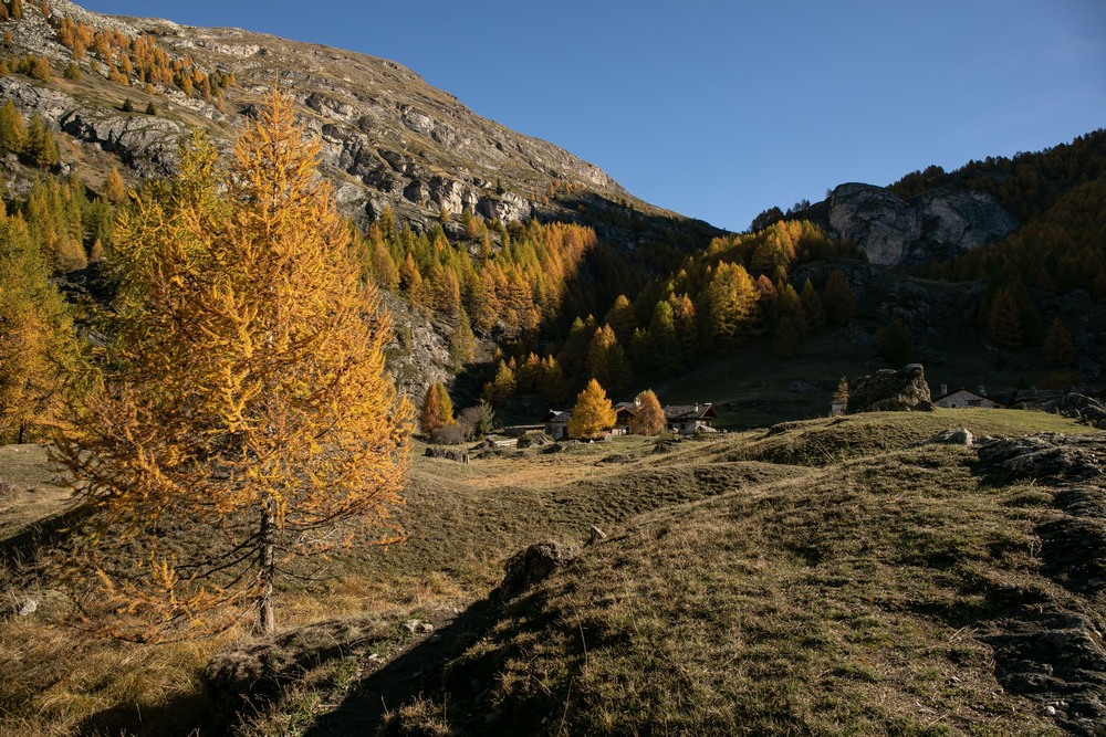 2G6A4645.jpg