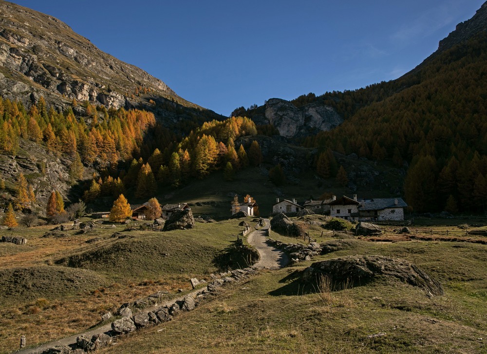 2G6A4649.jpg