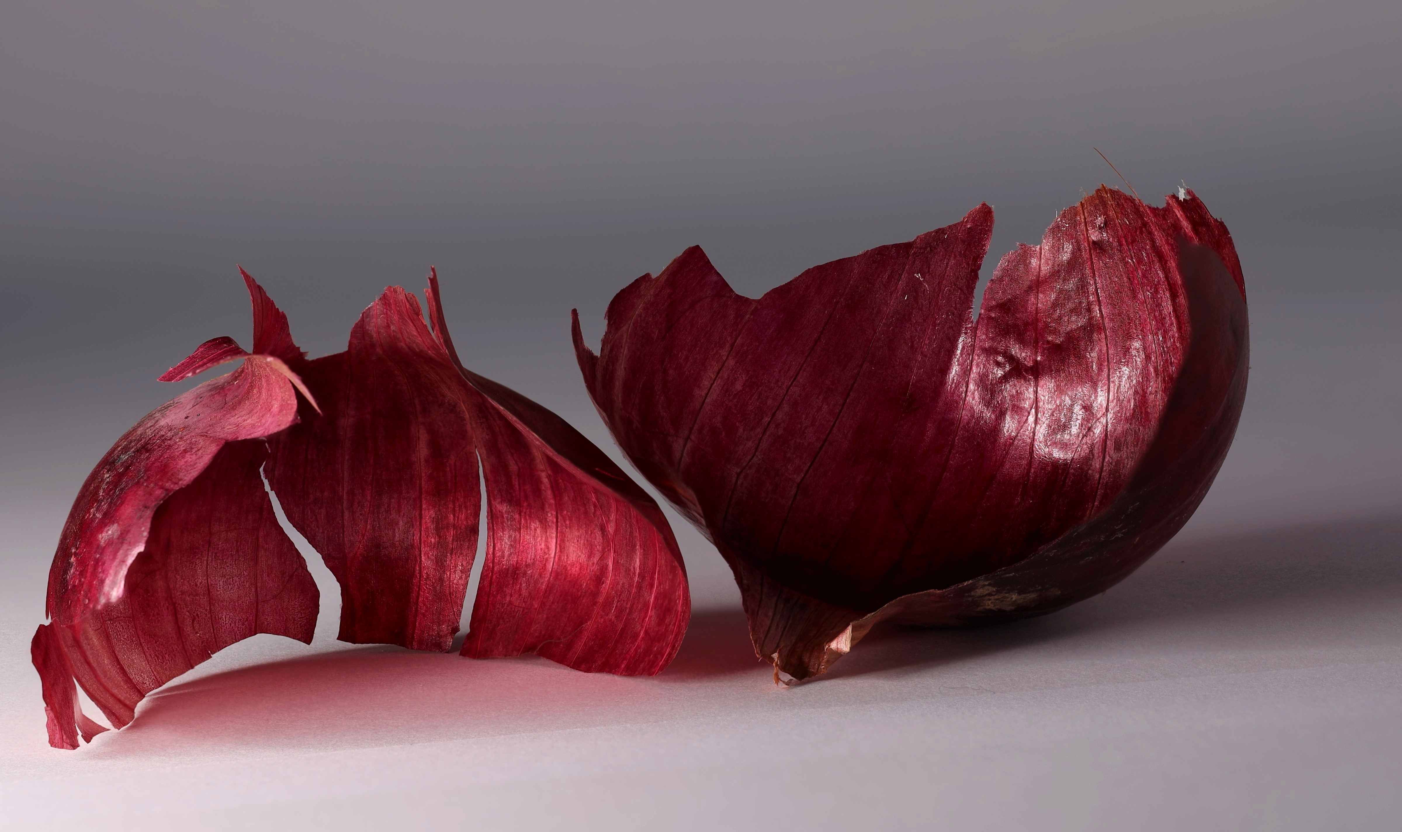 Peaux rouges - Les fleurs et les fruits - Forumdephotos.com