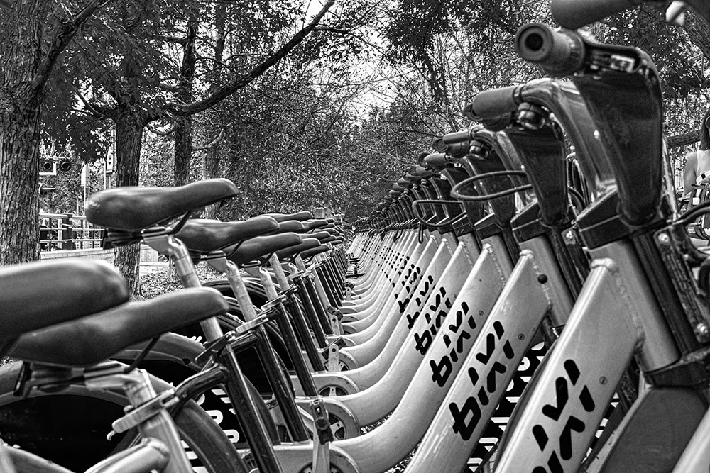 DSC00017SFXweb.jpg.d784ce48a1d7acbaf886d8d4bc18f147.jpg
