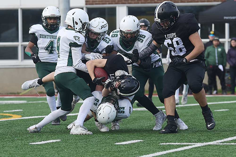 DSC_4633_1000.jpg.418aefd42cf14a8440c1a7f928dcd21e.jpg