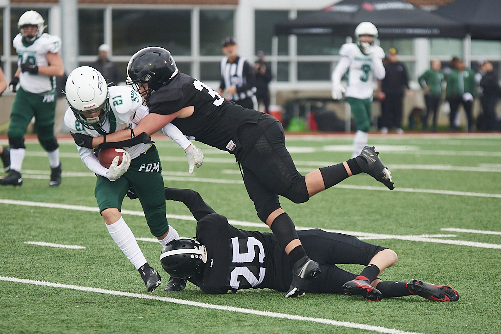 DSC_7253_1000.jpg.e66165411004d64995677e4843e24f62.jpg