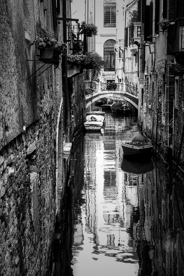 FB_IMG_1667740210702-01-01.jpeg.a2d79195bab25f976c2e3f9a288318f8.jpeg