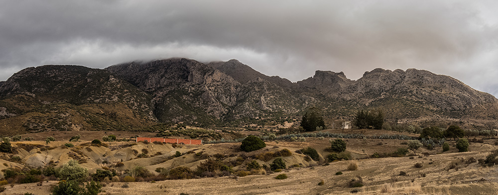 IMG_0080-Panorama-1.jpg.73a347a95d9391b25136008424398c01.jpg