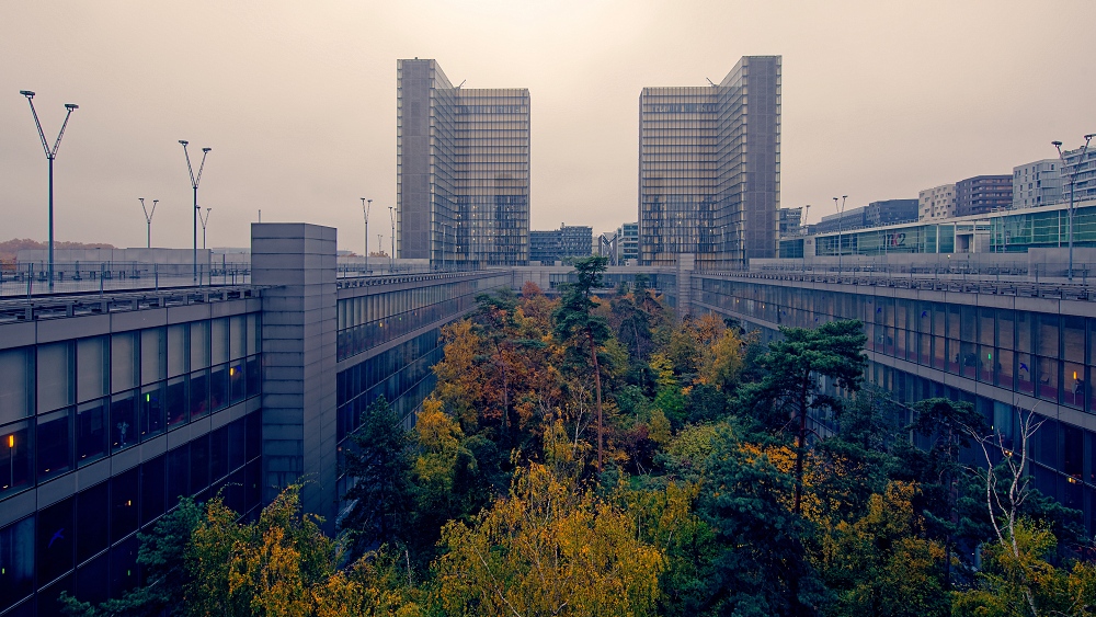 041A0297_DxO-border.jpg.37ff394c2d39c38d2f97601c62609c8d.jpg