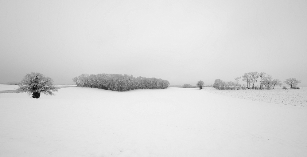 041A0595_DxO-border.jpg.e0a162611509f8e86ff7c8a2701dbc9e.jpg