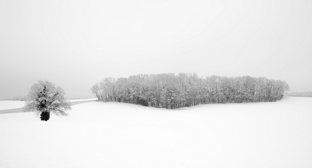041A0596_DxO-border.jpg.8524124f8d44f1fb39bb5fd8d331cb80.jpg
