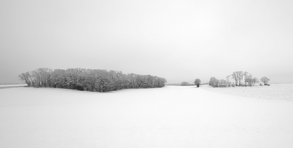 041A0597_DxO-border.jpg.f52805a24ac752bb44130f6d33f1d9b7.jpg