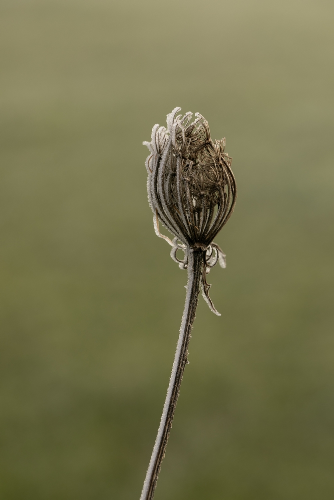2G6A5167.jpg