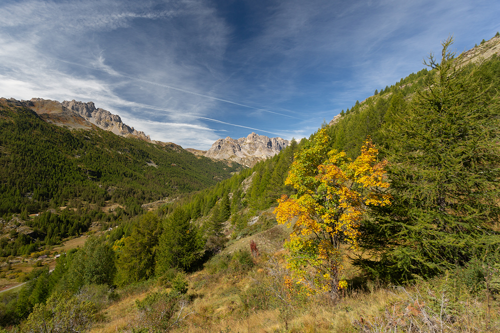 49207363_FR1A5157-Copie-export.jpg.a1e69fe49a4a9f483e664800defcc173.jpg