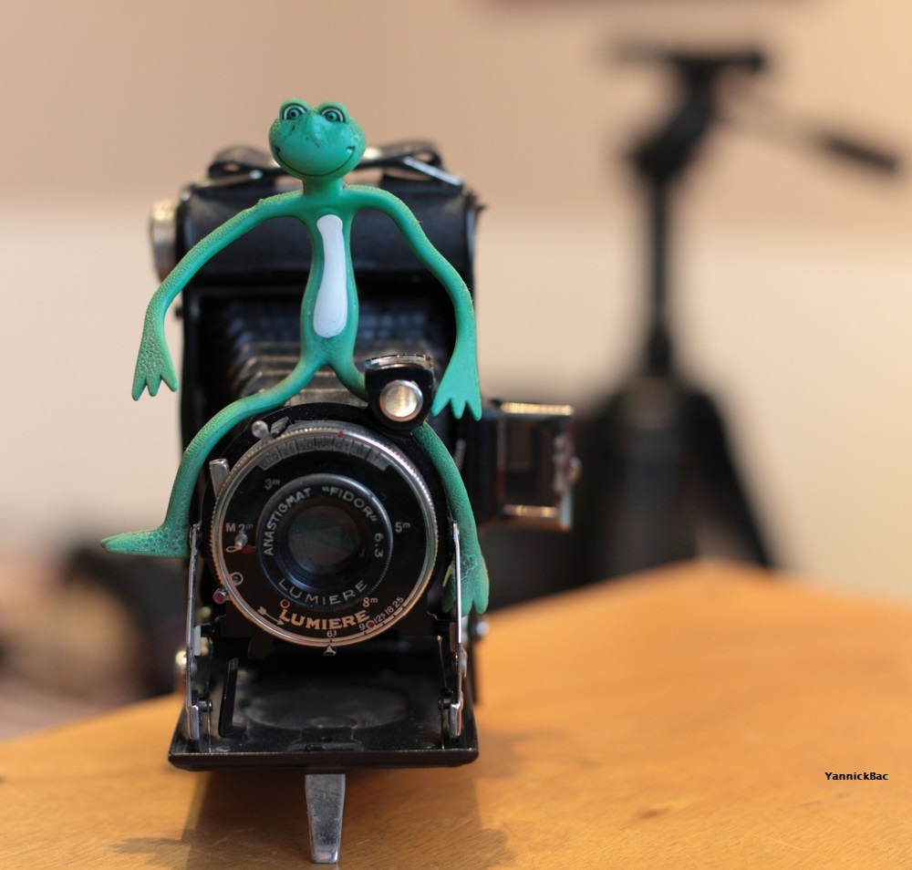 IMG_2997 Paced 1000.JPG