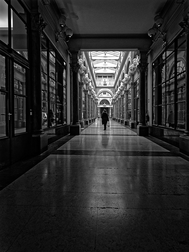 DSCF0583_DxO-border.jpg.2f47b9ac87a82334fccc60866cdd256b.jpg
