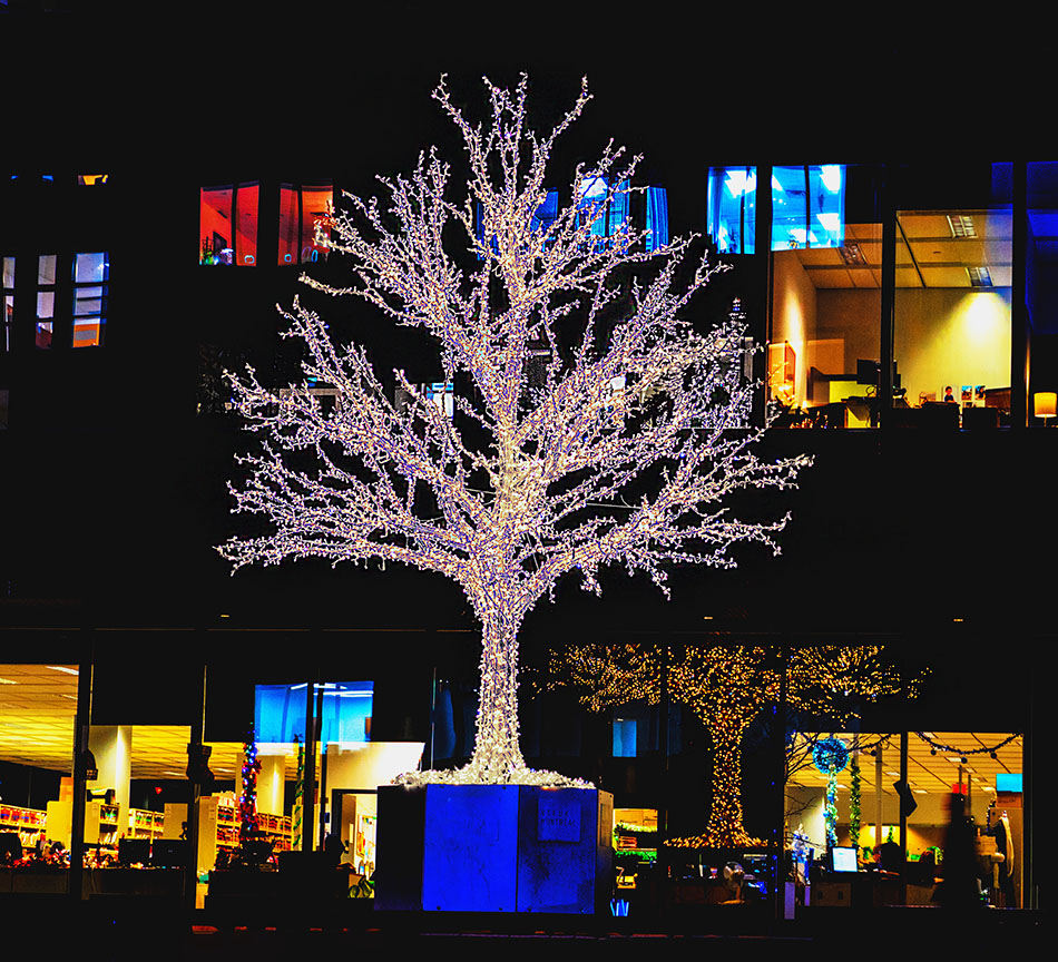 DSD00262web.jpg.66e609f6c72f3b6b3031847f9bdf0b40.jpg