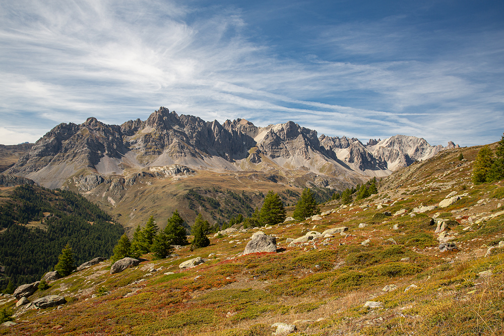 FR1A5164-export.jpg.0cd0c237c3924e5b4d572bbf3be3121d.jpg