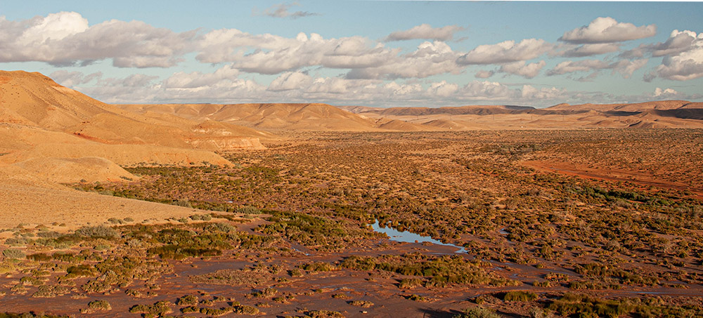 1201348085_Maroc082.jpg.66244269139ef13aa22170b4d21c8da7.jpg