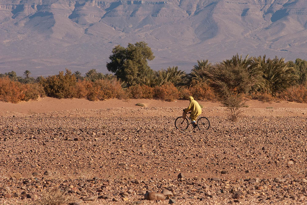 1239644263_Maroc062.jpg.b9b13715a4af7e7fbed96d0f16e446f1.jpg