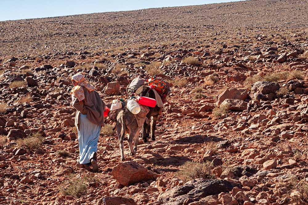 1261878124_Maroc046.jpg.ea1dad4c103c9b7971a83a5af38d2c69.jpg