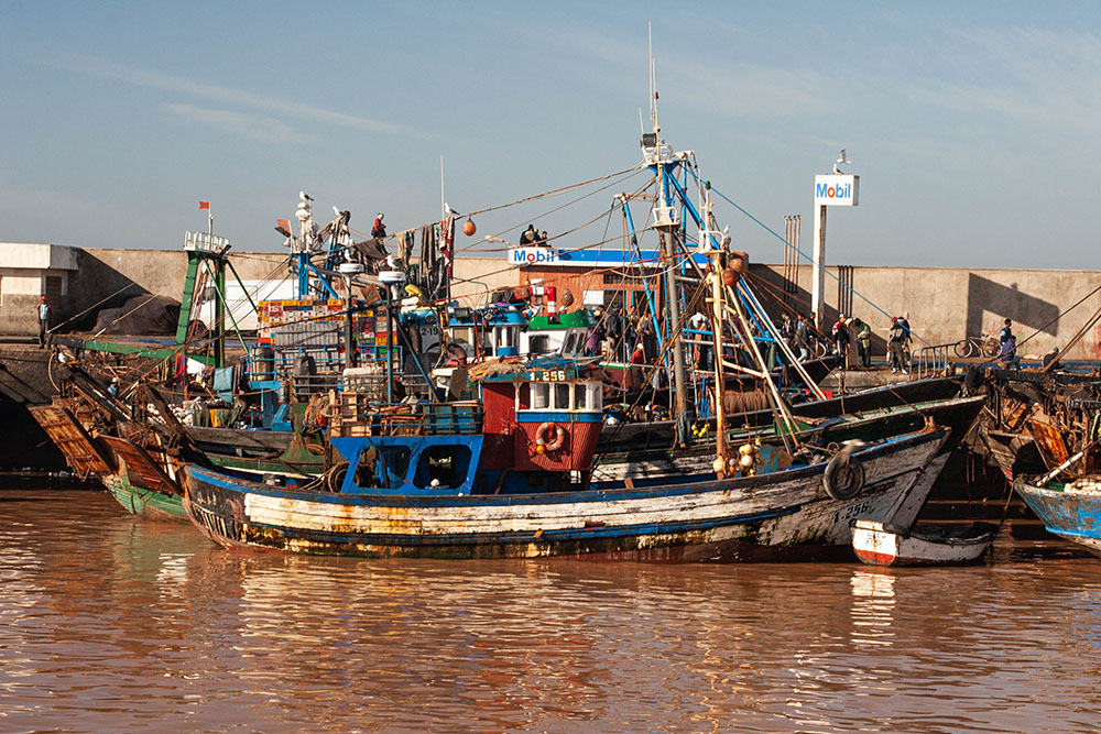 1292454410_Maroc21.jpg.589759abc2a88dcbb864b4c7ce81a426.jpg