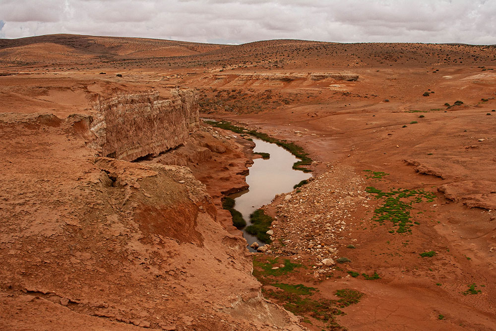 1566742088_Maroc093.jpg.5c015862f608cf0db49afa25ad73a34c.jpg