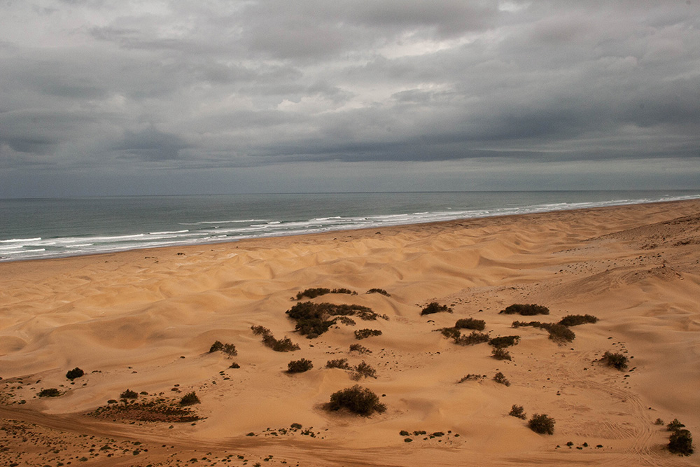 1669277094_Maroc091.jpg.347d33ad7778fcabac96f1aa9f19b6c5.jpg