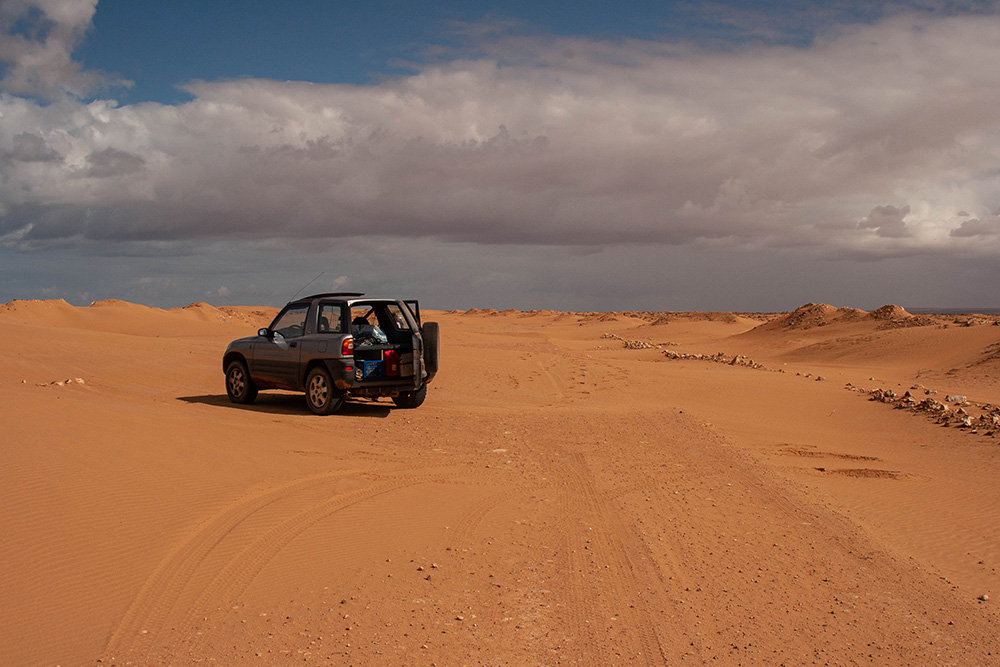 244546168_Maroc078.jpg.3e042617f8fdebbcc05907f9b7825d9e.jpg