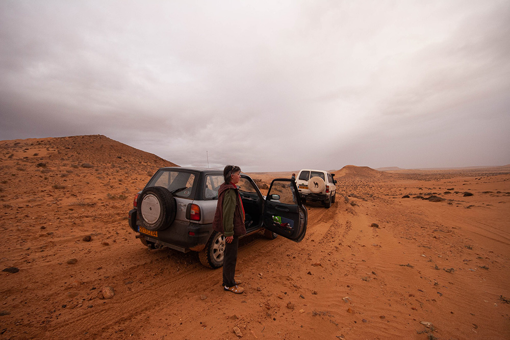 248733840_Maroc085.jpg.23bff087934e42222ca33be283ebc658.jpg