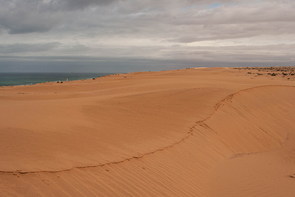 290608272_Maroc089.jpg.68c242dd5637c3f387dbd1c898d6b84a.jpg