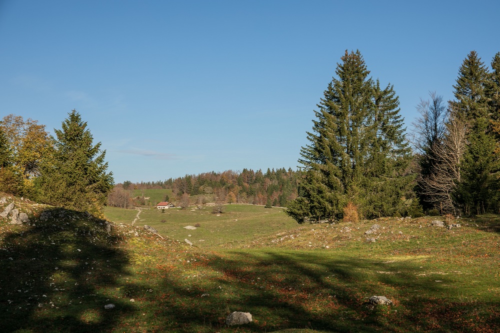 2G6A4812.jpg